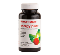 Energy Plus