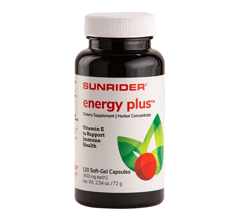 Energy Plus